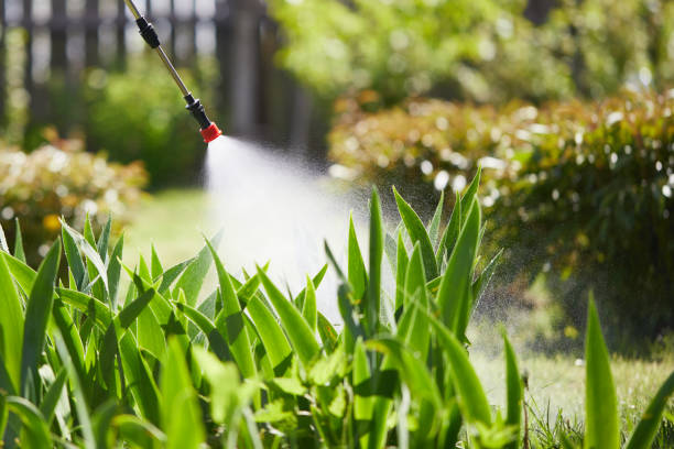 24/7 Emergency Mosquito Control experts in Randolph, WI